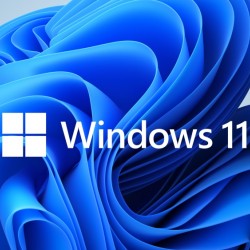 Програмен продукт с лицензен стикер Microsoft Windows 11 Home 64Bit Eng Intl 1pk DSP OEI DVD - Офис