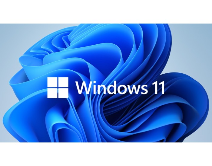 Програмен продукт с лицензен стикер Microsoft Windows 11 Home 64Bit Eng Intl 1pk DSP OEI DVD